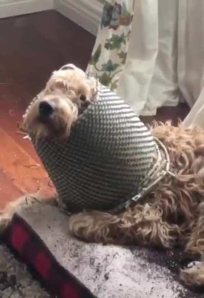 Nothing to see here