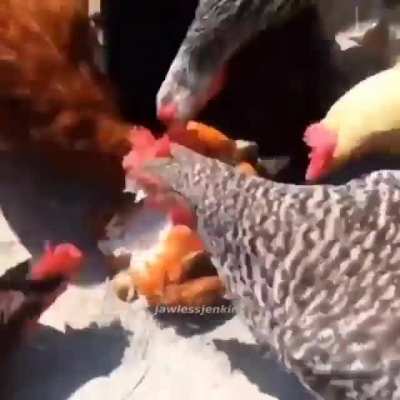 (?)
