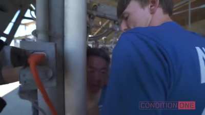 Vegan protester chained to slaughterhouse machinery gets almost decapitated