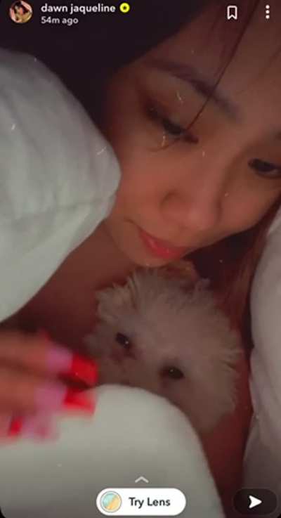 Dog nipslip
