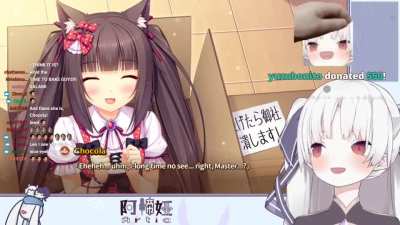 Artia meets Catgirl