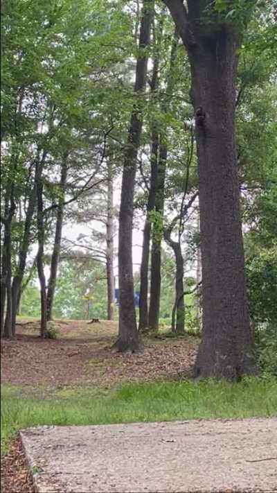 Tomahawk throws, disk golf