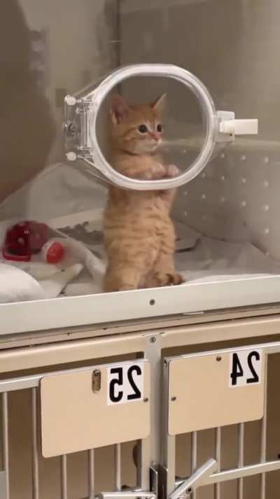 Cute waiting 🥺🥺