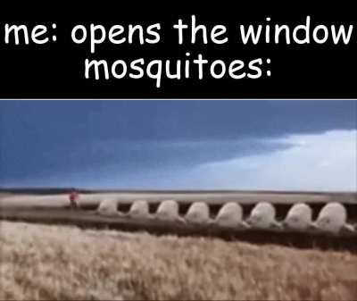 they all come in together