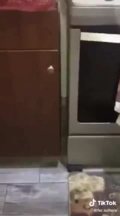 el chefsito