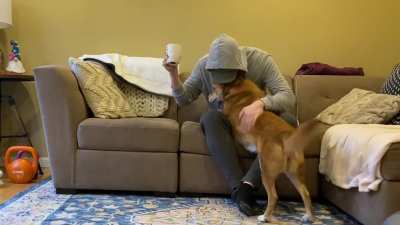 My dog gives &ldquo;love bites&rdquo; using only her front teeth