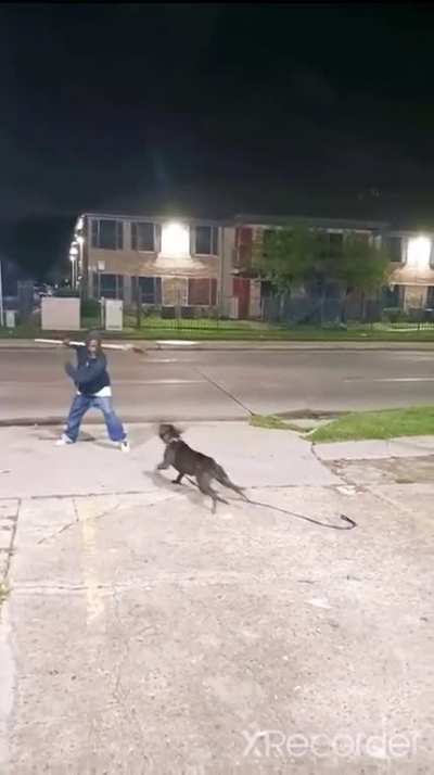 crackhead vs pitbull