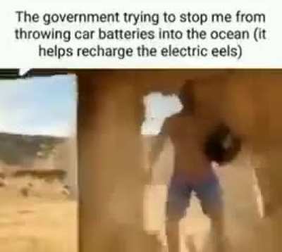 moldy car battery