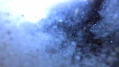 Something (a fish I guess?) bit my hand HARD while I was trying to shoot video of this electric clam [Philippines].