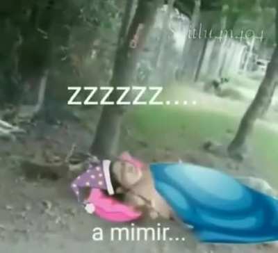 Mimir time