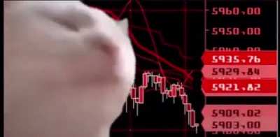 Market today