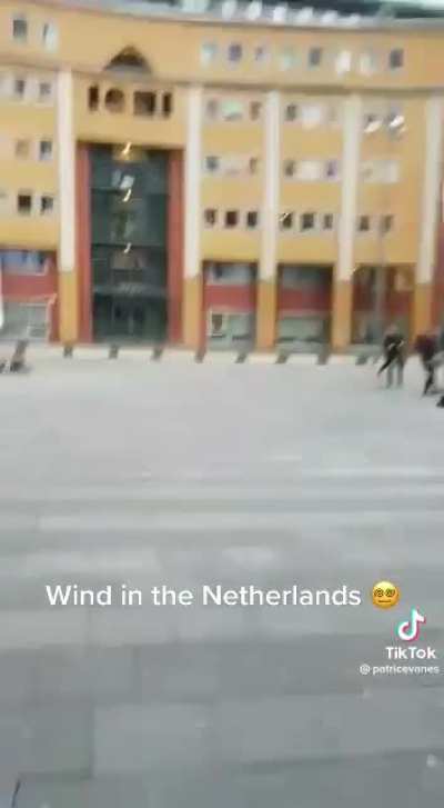 The wind really out there taking people out!