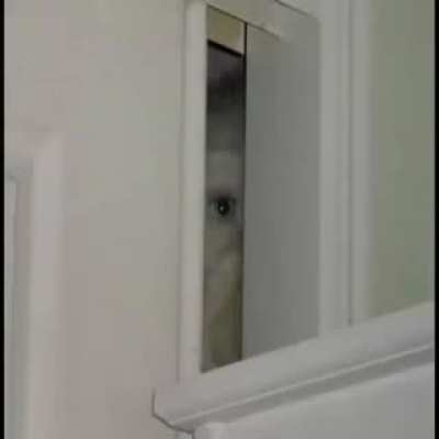 it’s always watching fuck the skinwalker is always watching it sees through the crack in the door I can’t fucking take it always watching every move I make it sees
