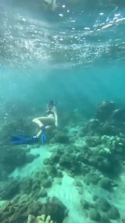 Under The Sea 🐠