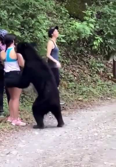 Women encounter a black bear&hellip;