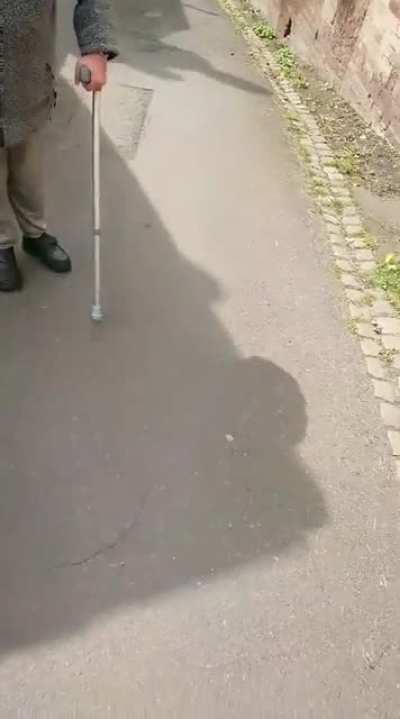Woman refuses to move for car, driver beeps horn...... And then this