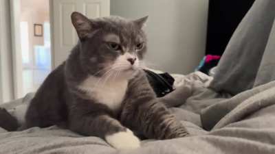 The grumpiest happy face you&rsquo;ve ever seen 