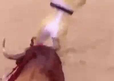 Torero&rsquo;s ass will never be the same