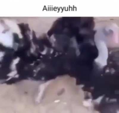 Aiiiieyyuhh