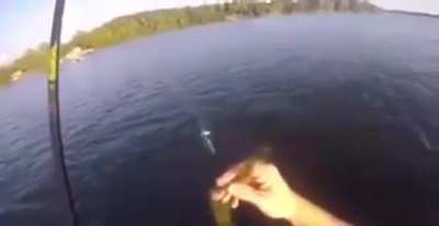 Fisherman couldn&rsquo;t expect this!