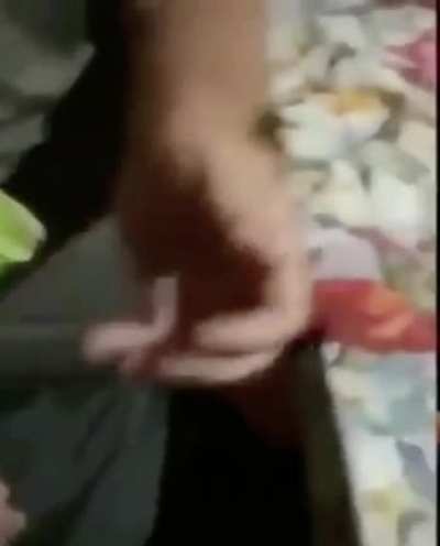 penis