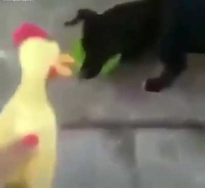Awoof