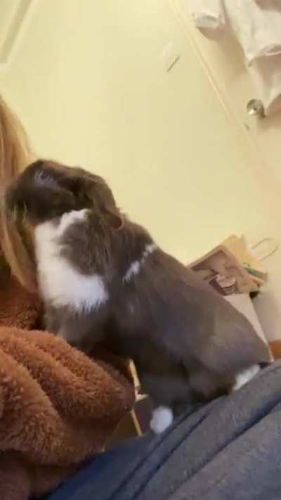 Is this hay?