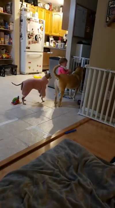 Throw the damn ball