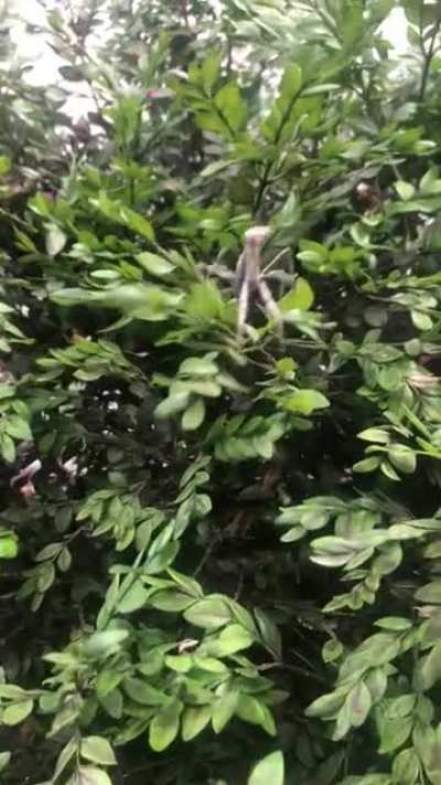 My new friend