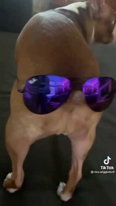 That boi fresh