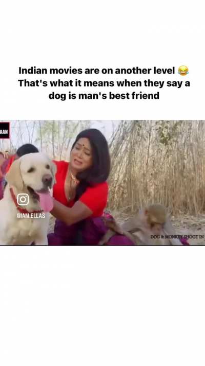 Y&rsquo;all jealous your backstory isn&rsquo;t as pawsome