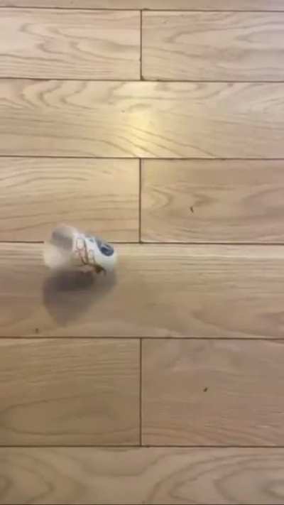 What the hell, did i just witness!!!!!