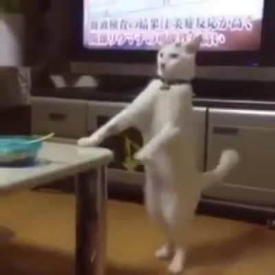 Hmmmmm