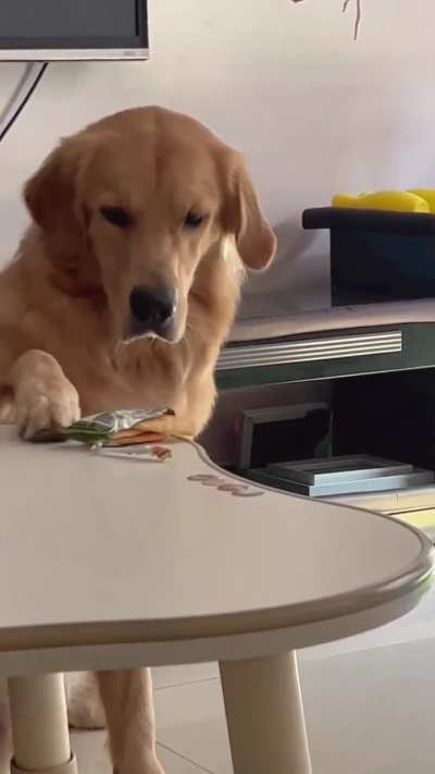a smart boy