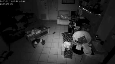 We woke to find our Christmas presents scattered and covered in scratches and tiny holes. Quick review of our pet-cam revealed which fur-butts were responsible&hellip;