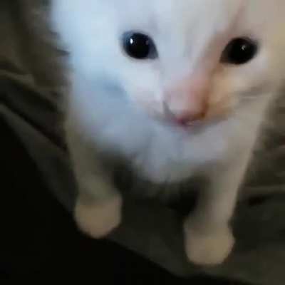 Eeeeeeeeee