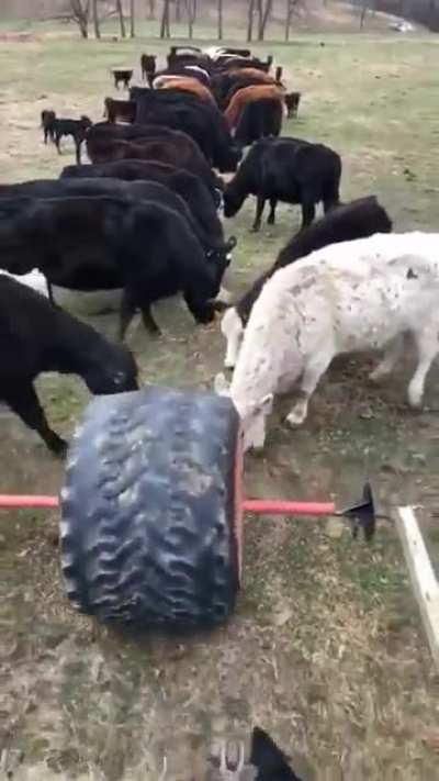 небольшой перекус