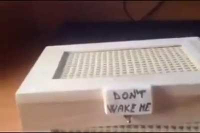 Do Not Wake Him