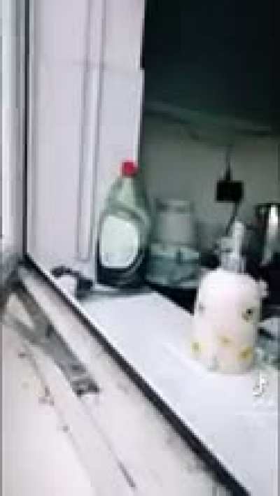 window