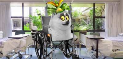 King Julian gets paralyzed for life