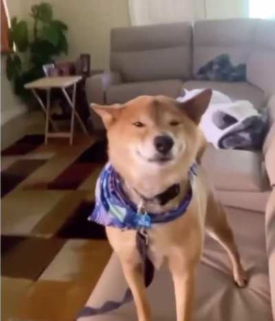 me waking up to 5 cents this morning