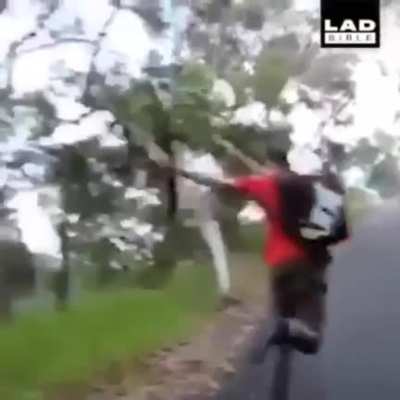 Just making sure it won&rsquo;t hurt anyone.