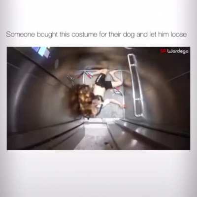 This dog scaring people