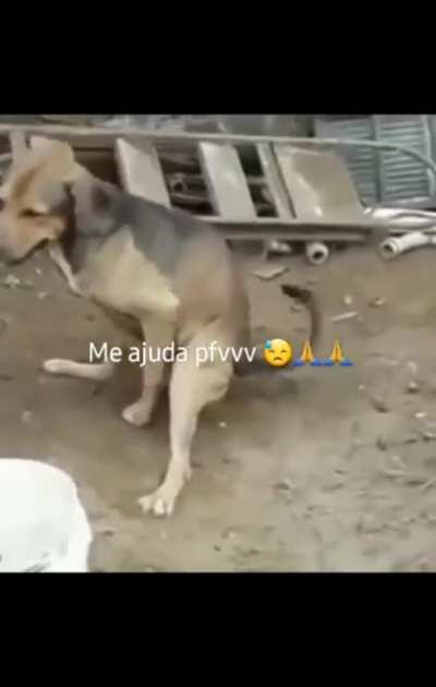 T&ocirc; viciado
