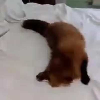 Too much energy