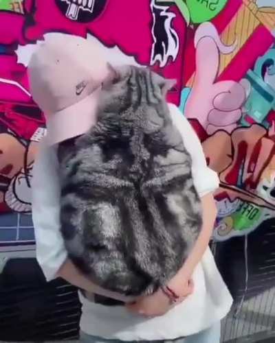You have to carry it because it can&rsquo;t walk.