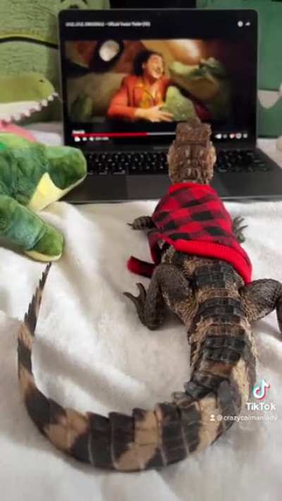 Can&rsquo;t wait for the new croc movie