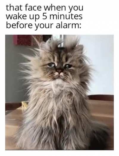 Feels bad man