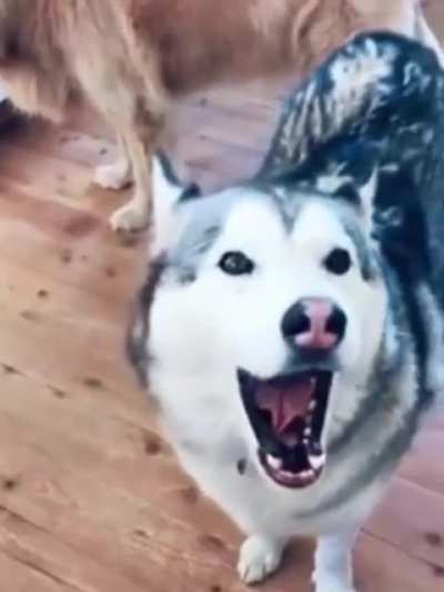 Let&rsquo;s Me Sing You The Song Of My People.