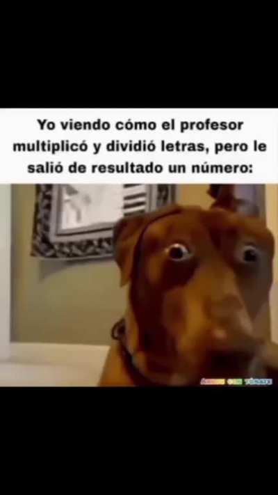 Literal